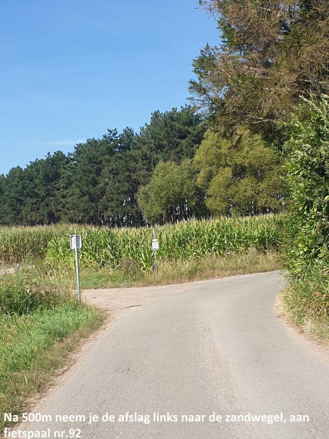 Eden Villa Sint-Pauwels Eksteriør billede